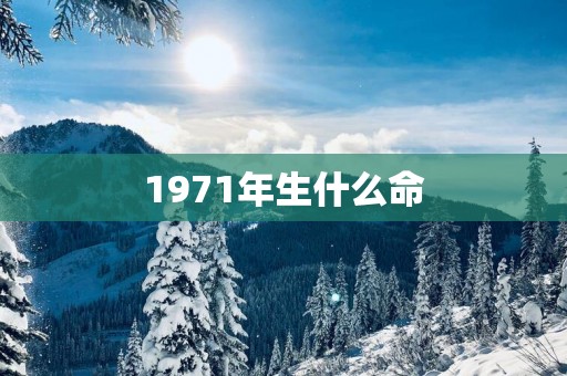 1971年生什么命