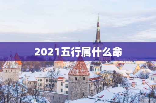 2025五行属什么命