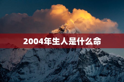 2004年生人是什么命
