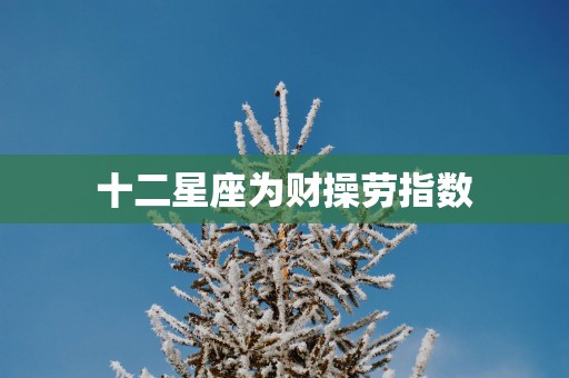 十二星座为财操劳指数