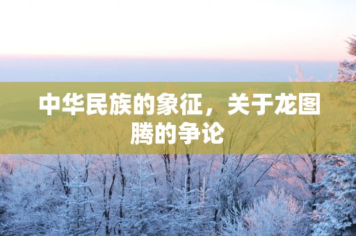 中华民族的象征，关于龙图腾的争论