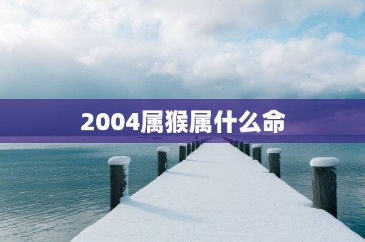 2004属猴属什么命