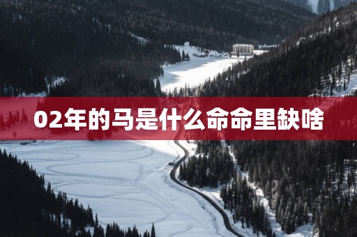 02年的马是什么命命里缺啥