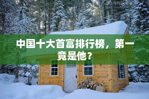 中国十大首富排行榜，第一竟是他？