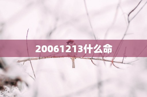20061213什么命