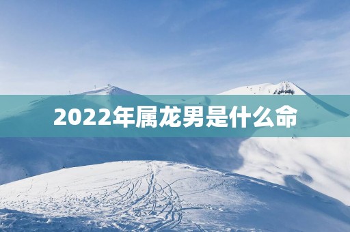 2025年属龙男是什么命