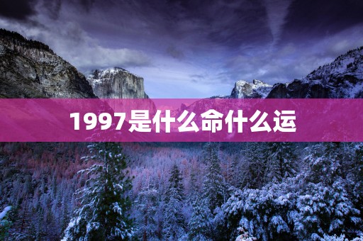 1997是什么命什么运