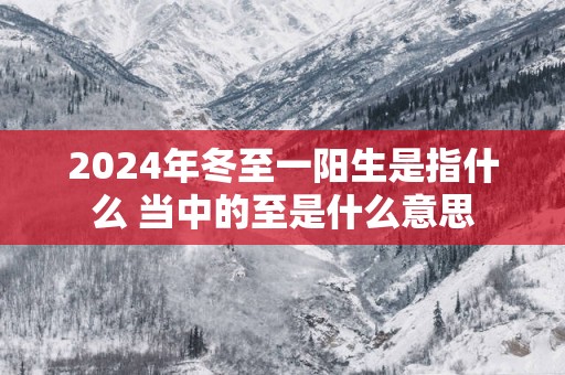 2025年冬至一阳生是指什么 当中的至是什么意思