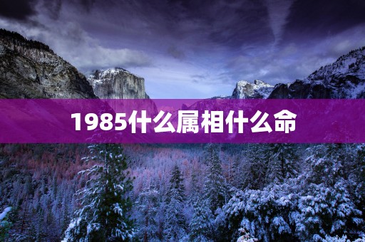 1985什么属相什么命