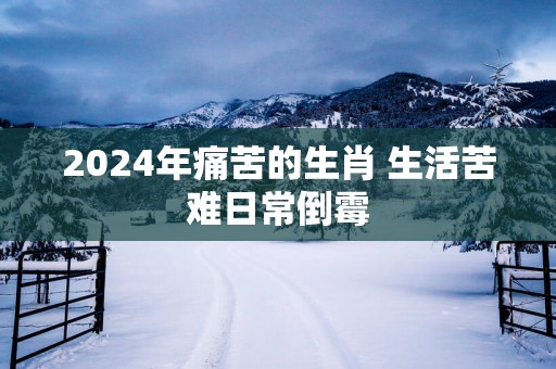 2025年痛苦的生肖 生活苦难日常倒霉