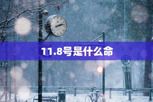 11.8号是什么命