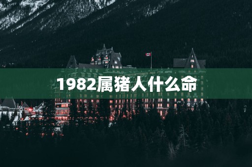 1982属猪人什么命