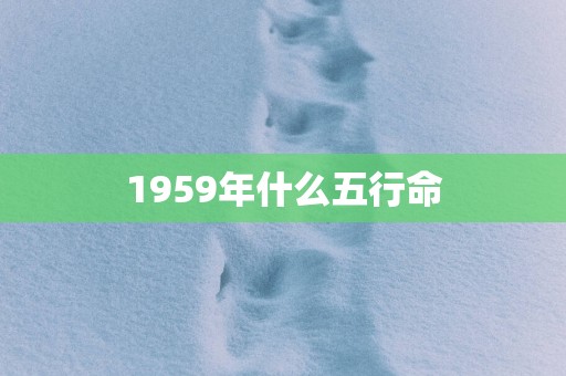 1959年什么五行命