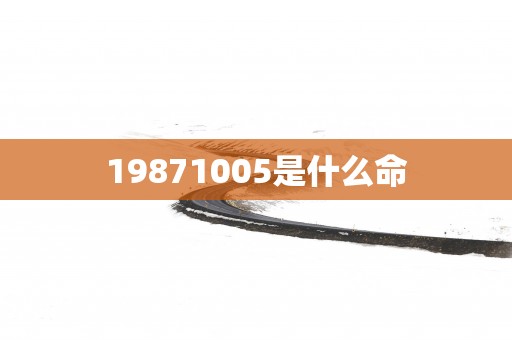 19871005是什么命