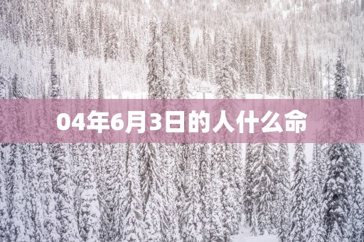 04年6月3日的人什么命