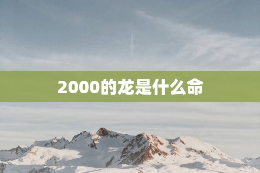 2000的龙是什么命