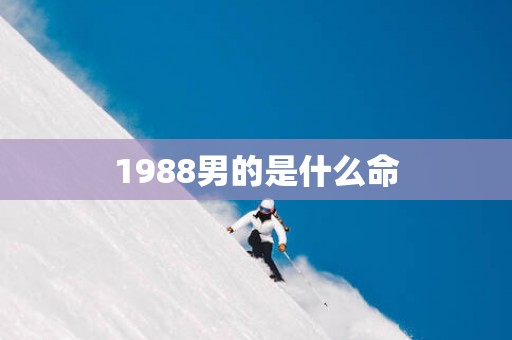 1988男的是什么命