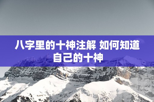 八字里的十神注解 如何知道自己的十神