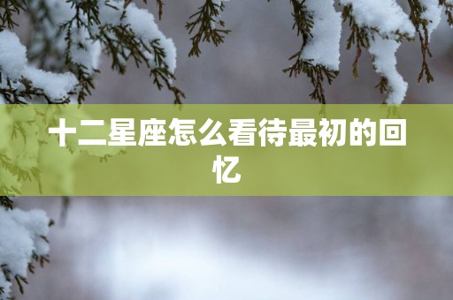 十二星座怎么看待最初的回忆