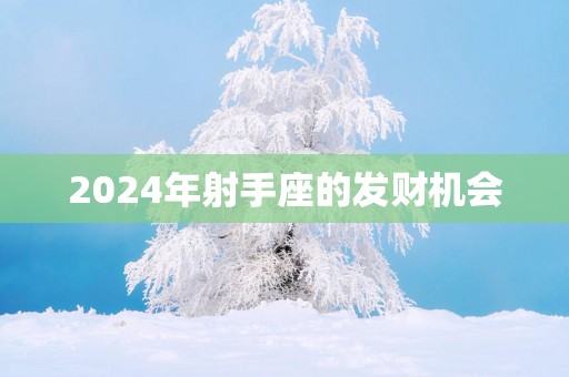 2025年射手座的发财机会