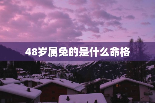 48岁属兔的是什么命格