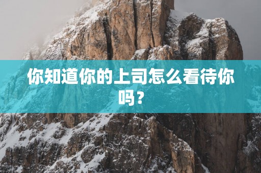 你知道你的上司怎么看待你吗？