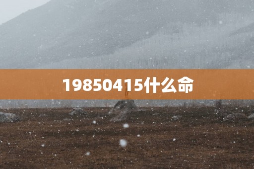 19850415什么命
