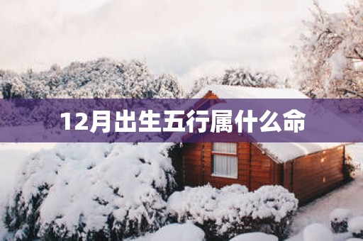 12月出生五行属什么命