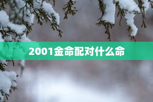 2001金命配对什么命