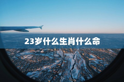 23岁什么生肖什么命