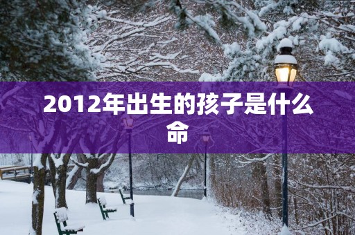 2012年出生的孩子是什么命