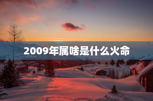 2009年属啥是什么火命