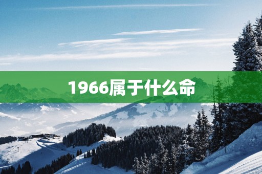 1966属于什么命