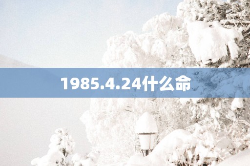 1985.4.24什么命