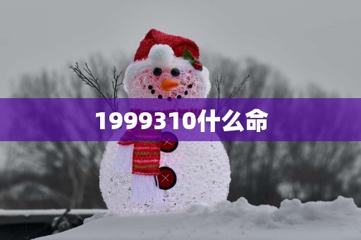 1999310什么命
