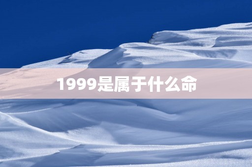 1999是属于什么命