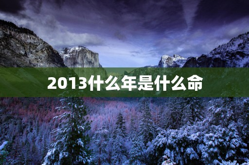 2013什么年是什么命