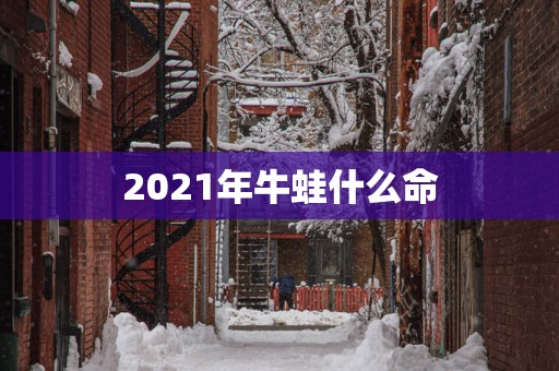 2025年牛蛙什么命