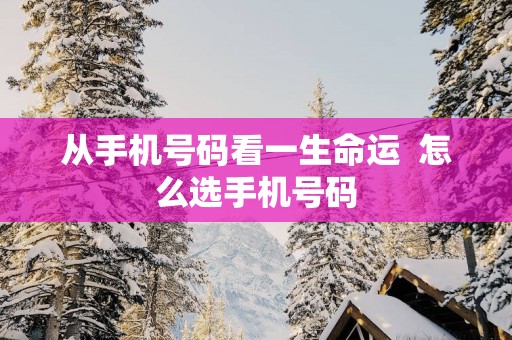 从手机号码看一生命运  怎么选手机号码