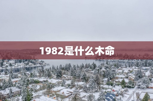 1982是什么木命