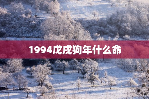1994戊戌狗年什么命