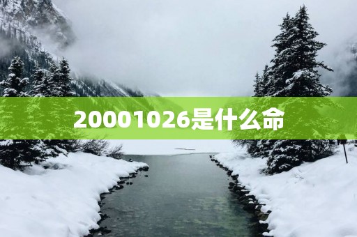 20001026是什么命