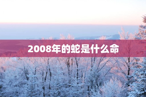 2008年的蛇是什么命
