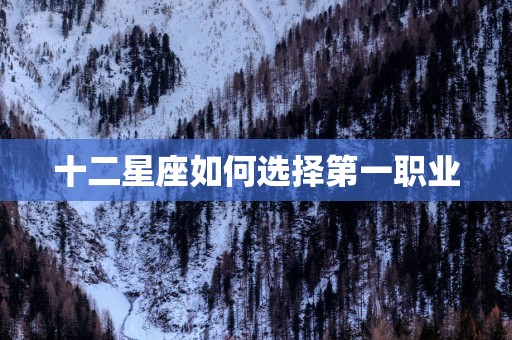 十二星座如何选择第一职业