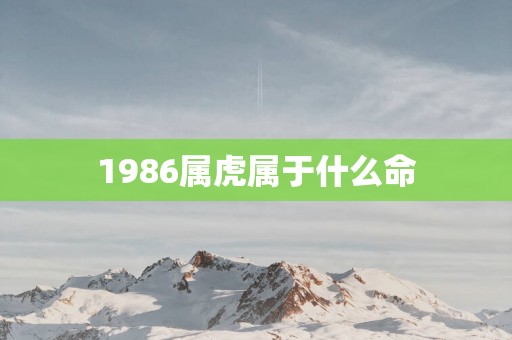 1986属虎属于什么命