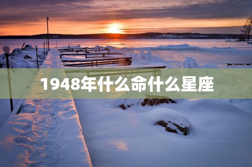 1948年什么命什么星座