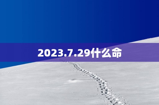 2025.7.29什么命