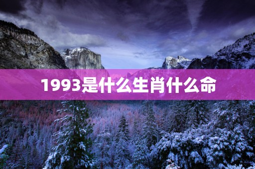 1993是什么生肖什么命