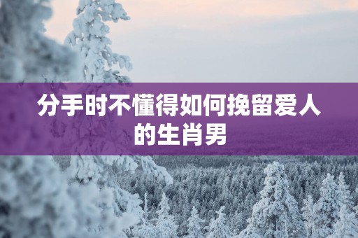 分手时不懂得如何挽留爱人的生肖男