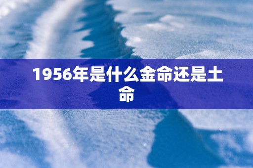 1956年是什么金命还是土命